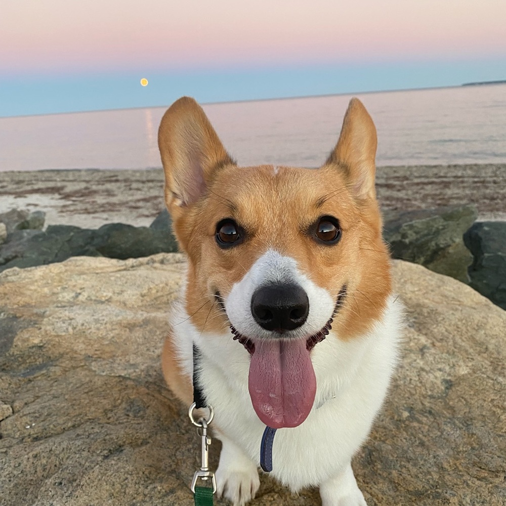 Meet your Posher, Autumn